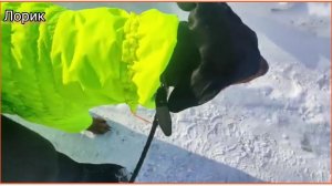 У Лорика новый комбинезон