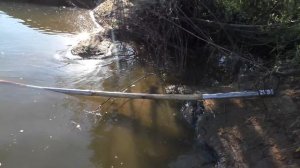 Ловим рыбу ПАУКОМ И РУКАМИ!