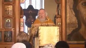 Перед Рождеством Христовым!!!Священник Димитрий Смирнов.