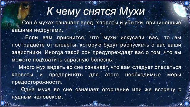 К чему снятся Мухи (Сонник)