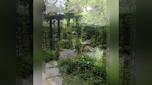 Берсо, арки, навіси, цікаві рішення для дизайну саду.