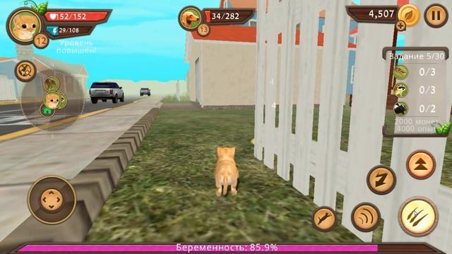 Продолжение игры Кошкин симулятор смотреть онлайн