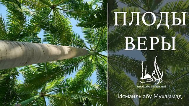 Плоды Веры смотреть онлайн