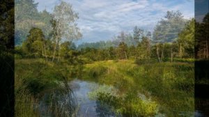 "ЗАЧЕМ МЕНЯ ОКЛИКНУЛ ТЫ?"... (Фото Марины Гореловой (Ликино-Дулёво) - Русский Хор им. Пятницкого)