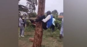 Смешные приколы #25