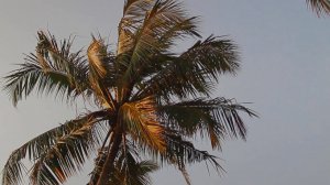 Шри Ланка 2018