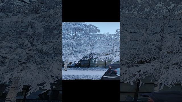 Зимняя сказка)))