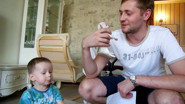 VLOG: РЕМОНТ / Клим играет с Пилотом / Переезжаем к свекрови смотреть онлайн