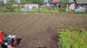 вспашка целины мотоблоком МТЗ и утилизация веток Термит у-350.