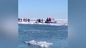 На Сахалине 600 человек на отколовшейся льдине уплыли в море