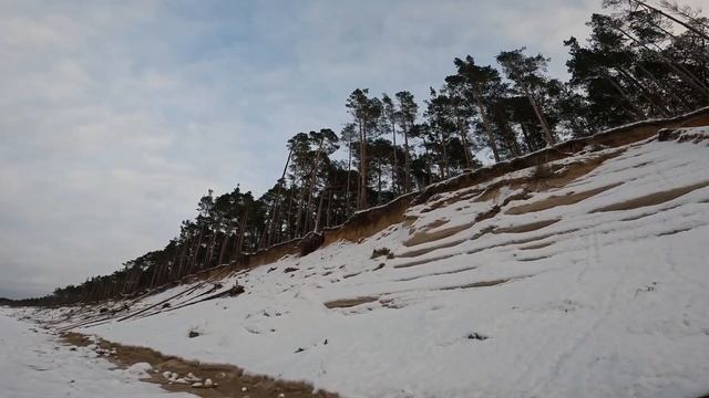 ВЕНТСПИЛС, ЛАТВИЯ / Дикий, лесной берег моря смотреть онлайн