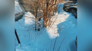 ПОДСТАВКА ПОД «ЕВРОКУБ» ОБЗОР НА ВЫСТАВКЕ