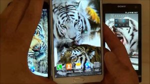 Tiger live wallpaper for android phones and tablets