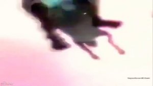 Обкуренный Шрек летит на бешеном осле