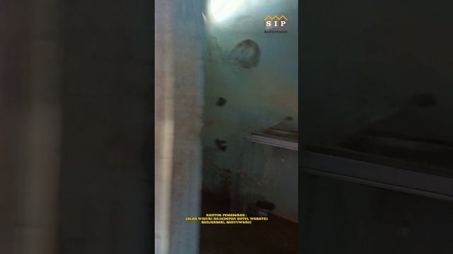 Dijual rumah hook halaman luas di Jln. MH Thamrin gentengan Baru Banyuwangi kota смотреть онлайн