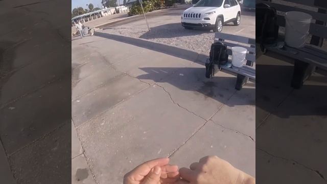 Florida fishing. Use Gulp minnows If you need life bait смотреть онлайн