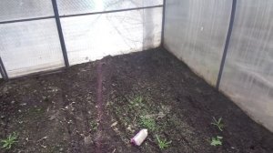 ОЧЕНЬ ПРОСТАЯ ОБРАБОТКА ТЕПЛИЦЫ РАСТВОРОМ МАРГАНЦОВКИ. Ольга Чернова.