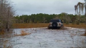 Ford Bronco Everglades – Off-Road Test Drive