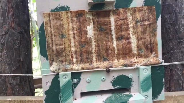 Прогноз на РОИ в Свердловской области! смотреть онлайн