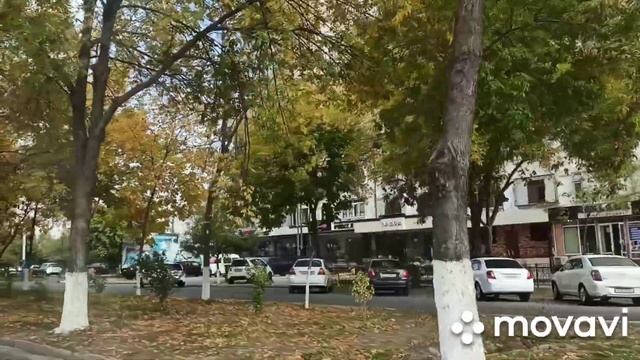 Ташкент. Ганга, Себзар, Юнусабад, Мегапланет, Зенит #ташкент #ганга #себзар #узбекистан смотреть онлайн