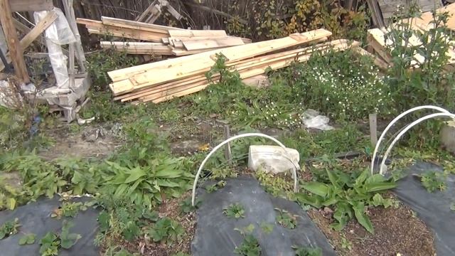 Клубничный сезон.Завершение. 2023 смотреть онлайн