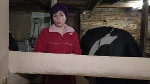 КАК ЗАПУСТИТЬ КОРОВУ... /ЗАВЕРШЕНИЕ ЛАКТАЦИИ У КОРОВ???
