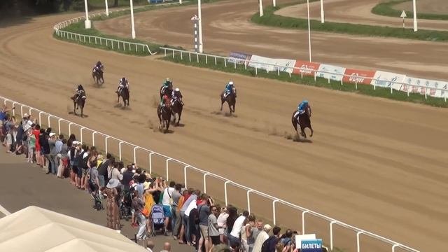 Московский ипподром. Скачки. 03.07.16. Скачка 4(37). ПРИЗ РЕКИ КУБАНЬ