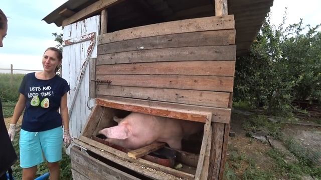 Выгнали маму она обиделась и ушла смотреть онлайн