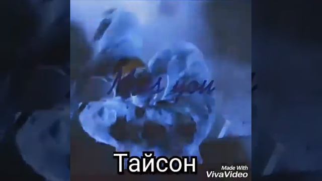 Тайсон смотреть онлайн