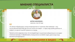 ? СОРНЯК АМЕРИКАНКА КАК ИЗБАВИТЬСЯ ⚠ ЧТОБЫ ТРАВА НЕ РОСЛА ?