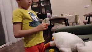 Пластилиновое мороженое и танцы с гусем