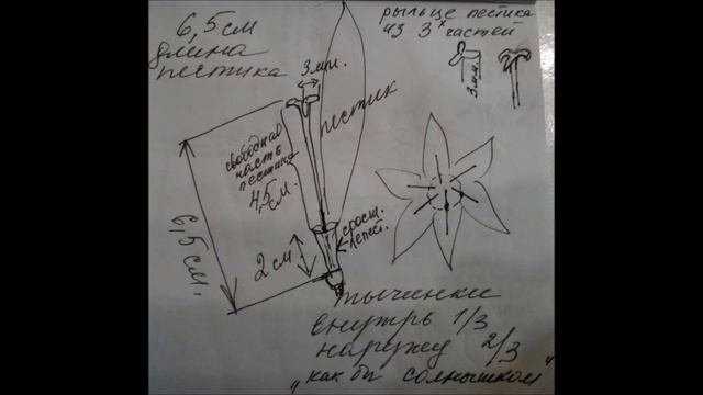 Фото-разбор: Колхикум и Зефирантес. Татьяна Несина смотреть онлайн