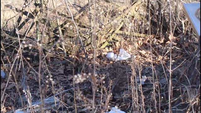 Strawberry fields 2021 смотреть онлайн