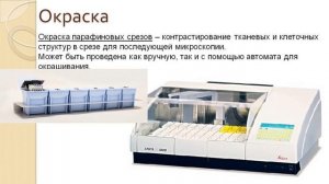 Гистологическая техника. Изготовление препаратов для световой микроскопии