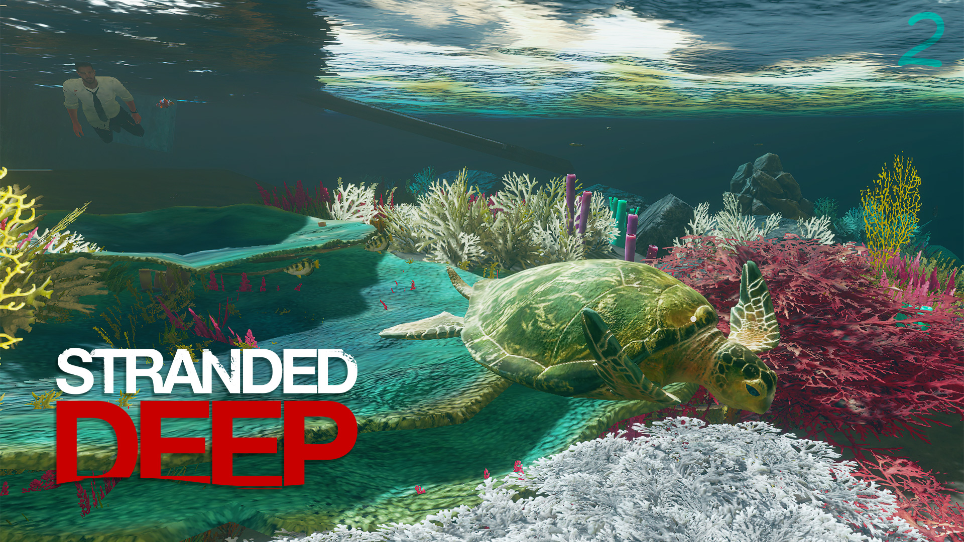 Steam could not be initialized stranded deep фото 10