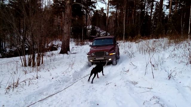 ss korando тянет subaru forester смотреть онлайн