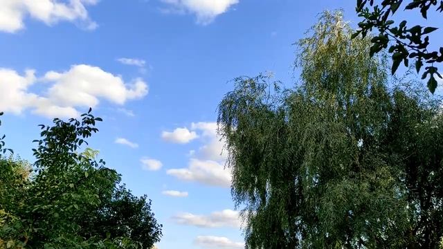 Народный праздник «Неопалимая Купина». 17 сентября. Что нужно делать в этот день