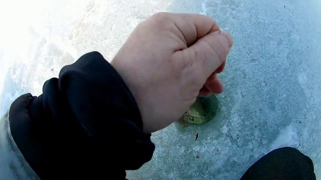 Рыбалка, лещ- достойный трофей!!! Вот это аппарат-2!!!