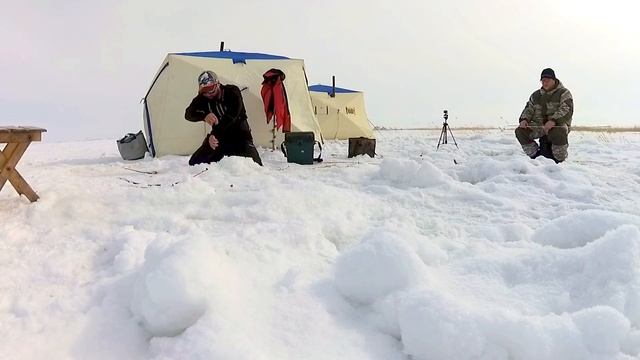 Килограммовый карась и сазан. Закрытие сезона. оз. Чаны