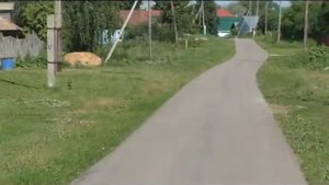 Большемурашкинский район