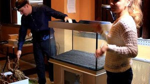 Мастер-класс по запуску аквариума на 170л(Основные моменты)