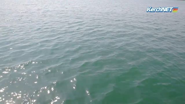 В Керченском пролив совершили Крестный ход с иконой «Неупиваемая чаша» смотреть онлайн