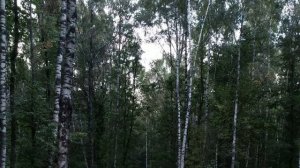 Изумрудные холмы, Красногорск