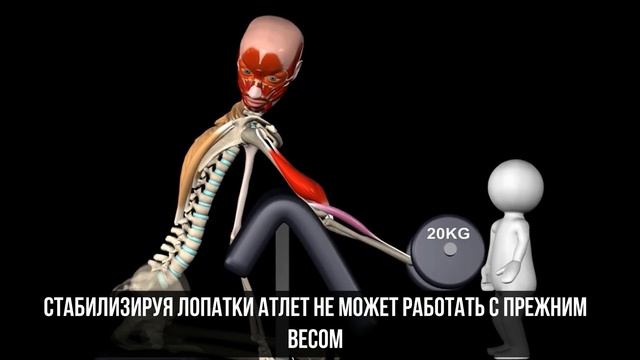 КАК ПРАВИЛЬНО КАЧАТЬ БИЦЕПС/ СГИБАНИЕ ОДНОЙ РУКИ НА СКАМЬЕ СКОТТА смотреть онлайн