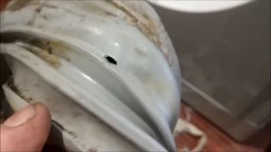 Ремонт стиральной машины. Замена резинового фартука