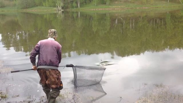 Рыбалка в Терентьевке 1 пруд смотреть онлайн