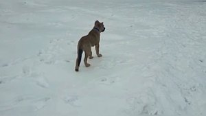 📌GAMPR TITAN-БОСТОН💣ВИДЕО ПРИВЕТ ОТ НАШЕГО ВЫПУСКНИКА🥰