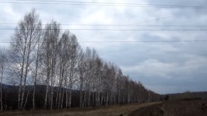 110 kV power line short circuit. Короткое замыкание ЛЭП - 110 кВ.