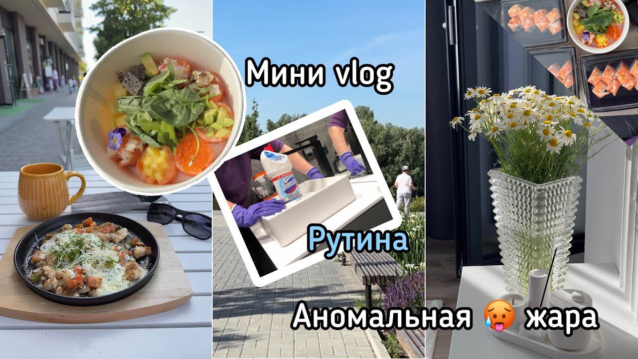 Mini Vlog/Аномальная жара в Новосибирске/РОЛЛЫ/ПИЦЦА/дети улетели отдыхать/Европейский Берег/рутина)