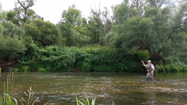 Ловлю голавликов на Наре смотреть онлайн
